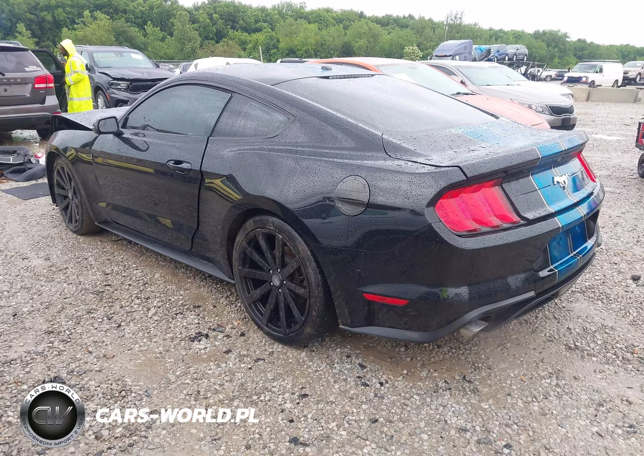2019 Ford Mustang Ecoboost VIN:1FA6P8TH2K5194001 - 3