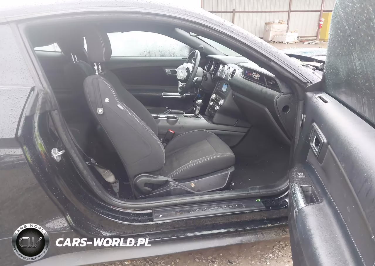 2019 Ford Mustang Ecoboost VIN:1FA6P8TH2K5194001 - 5
