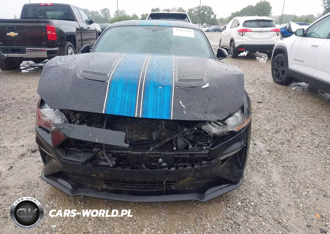 2019 Ford Mustang Ecoboost VIN:1FA6P8TH2K5194001 - 6
