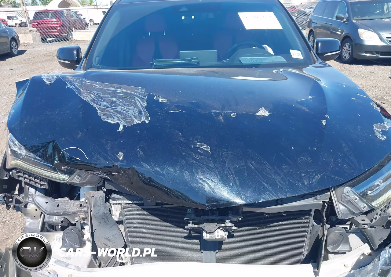 2020 Acura Rdx A-Spec Package VIN:5J8TC2H69LL037724 - 10