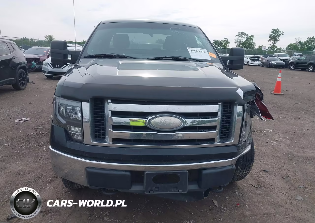 2009 Ford F-150 Stx-Xl-Xlt VIN:1FTRX14849FB10391 - 13