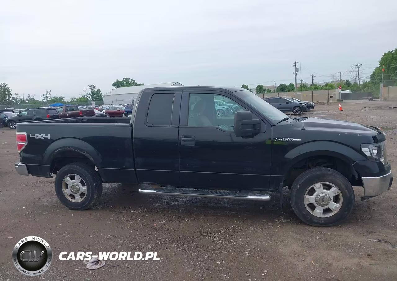 2009 Ford F-150 Stx-Xl-Xlt VIN:1FTRX14849FB10391 - 14
