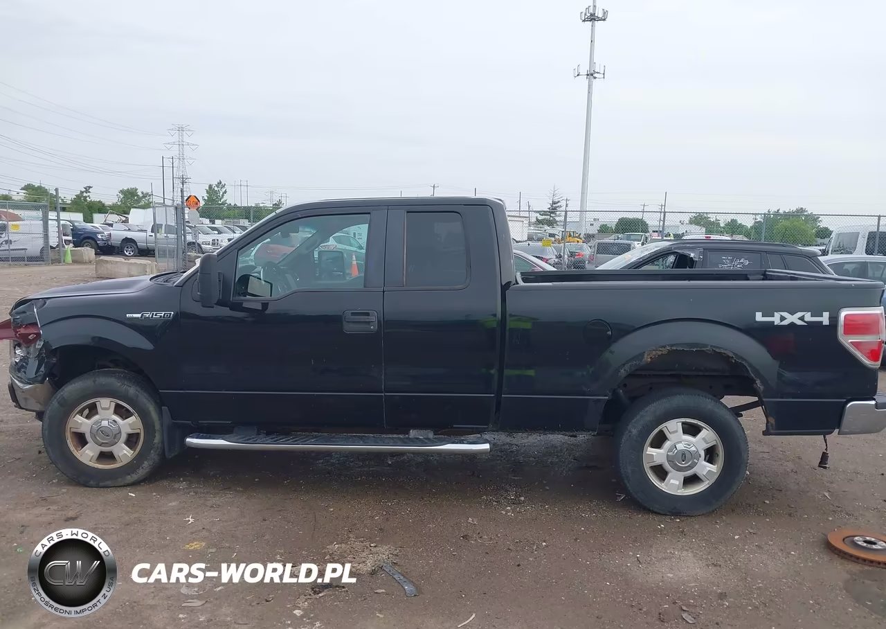 2009 Ford F-150 Stx-Xl-Xlt VIN:1FTRX14849FB10391 - 15