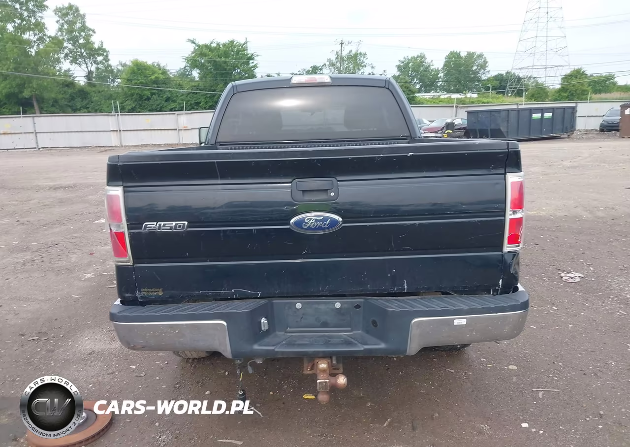2009 Ford F-150 Stx-Xl-Xlt VIN:1FTRX14849FB10391 - 17
