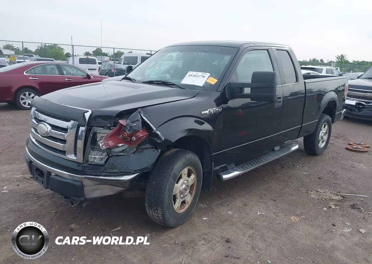 2009 Ford F-150 Stx-Xl-Xlt VIN:1FTRX14849FB10391 - 2