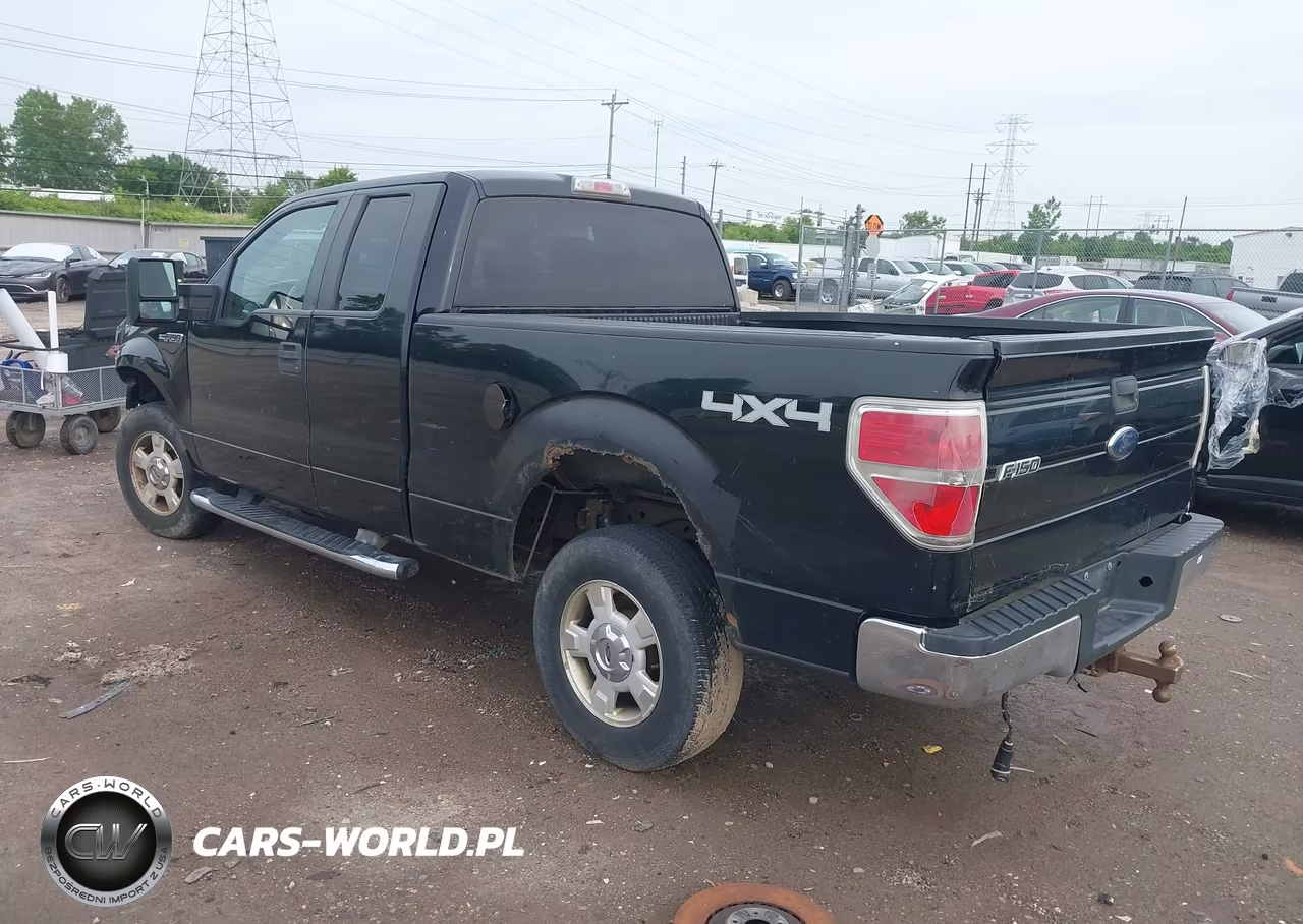 2009 Ford F-150 Stx-Xl-Xlt VIN:1FTRX14849FB10391 - 3