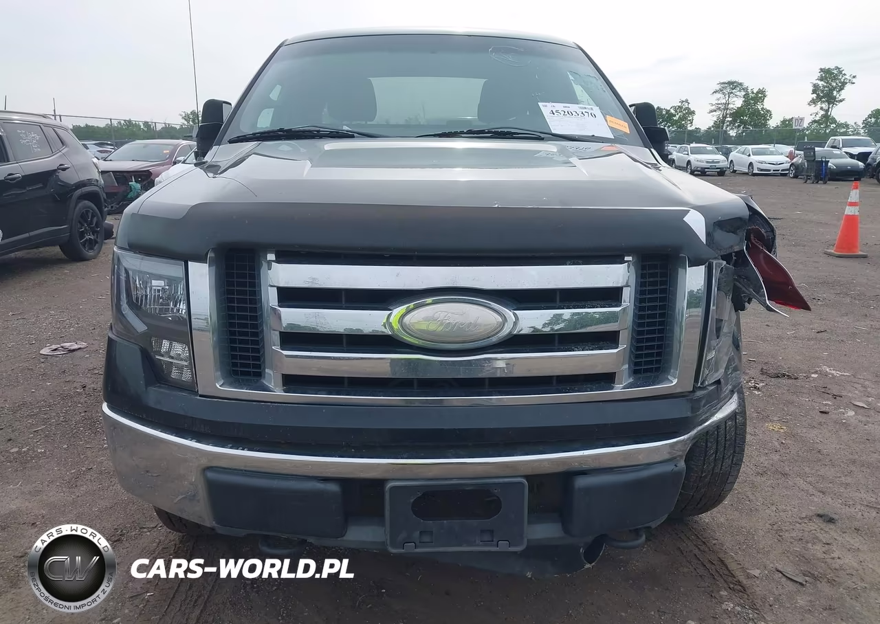 2009 Ford F-150 Stx-Xl-Xlt VIN:1FTRX14849FB10391 - 6