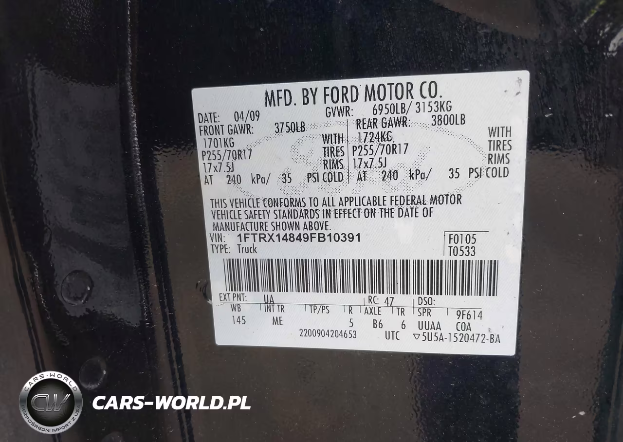 2009 Ford F-150 Stx-Xl-Xlt VIN:1FTRX14849FB10391 - 9