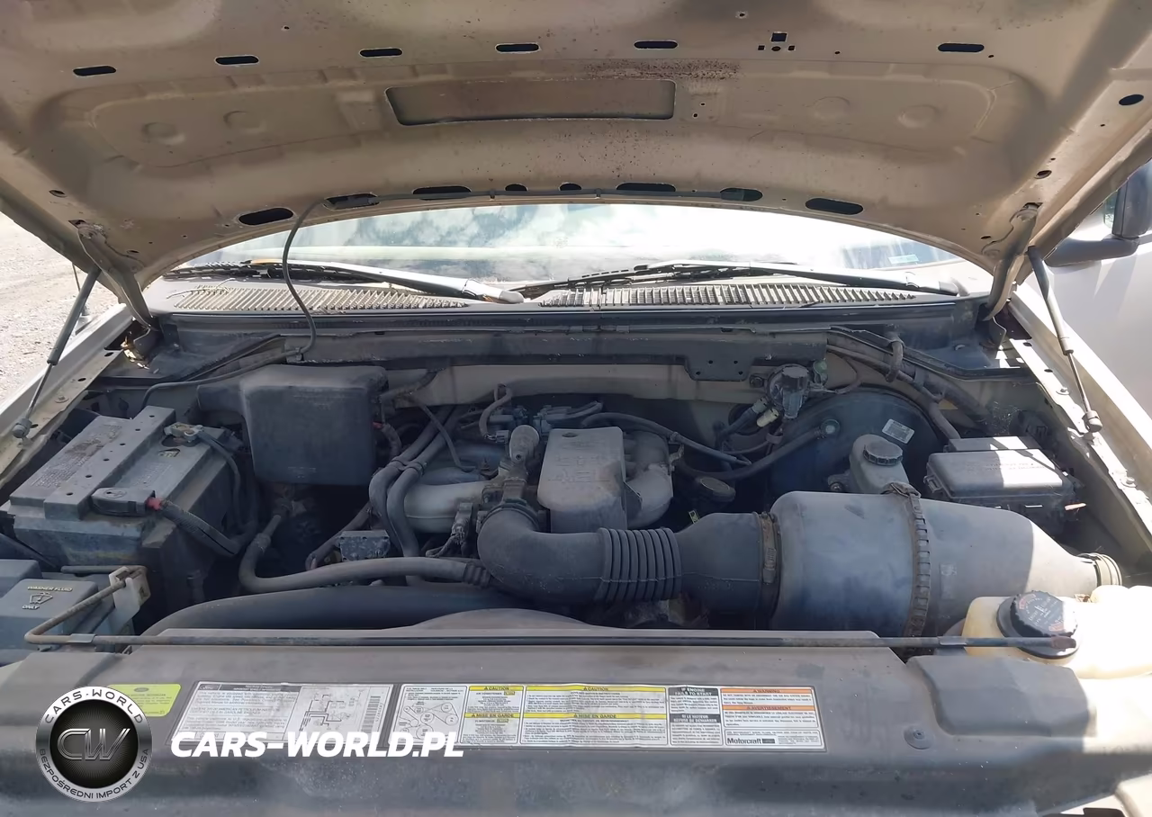 1998 Ford F-150 Standard-Xl-Xlt VIN:1FTZF1724WNB10497 - 10
