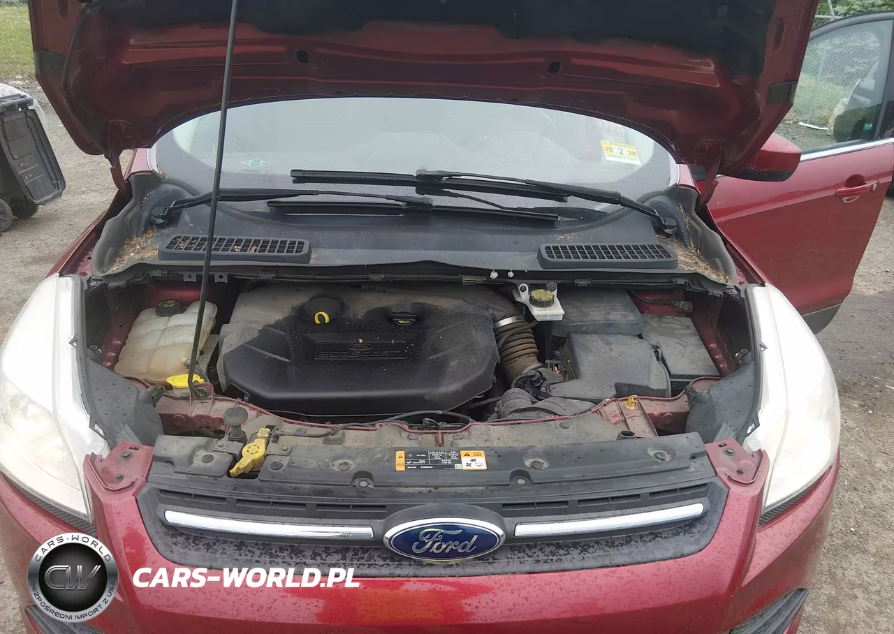 2014 Ford Escape Se VIN:1FMCU9G93EUC89381 - 10