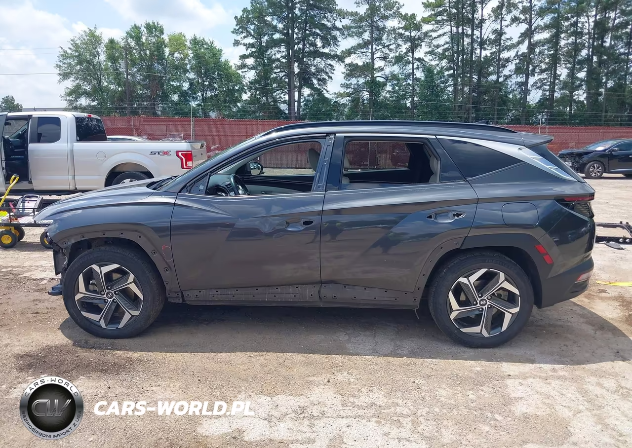 2023 Hyundai Tucson Limited VIN:5NMJE3AE8PH163524 - 15