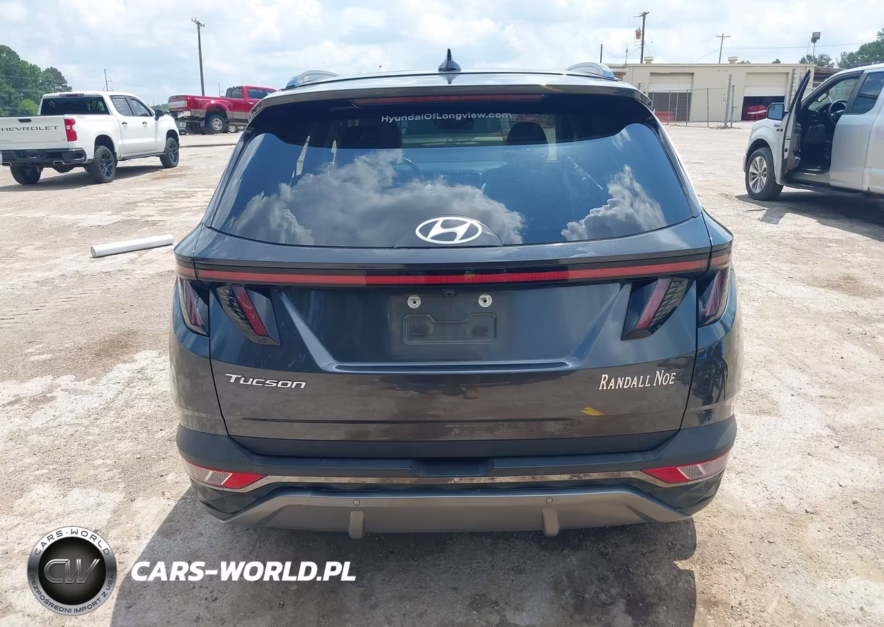 2023 Hyundai Tucson Limited VIN:5NMJE3AE8PH163524 - 17