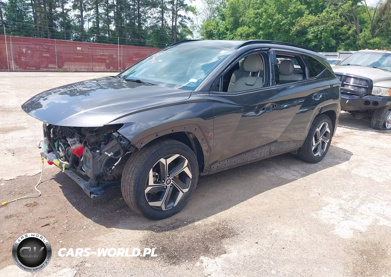 2023 Hyundai Tucson Limited VIN:5NMJE3AE8PH163524 - 2