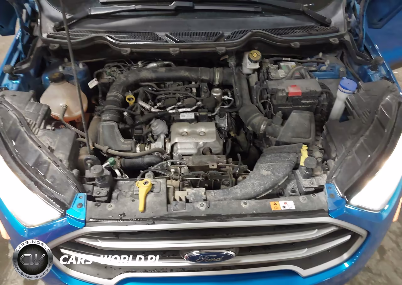 2018 Ford Ecosport Se VIN:MAJ3P1TE8JC234916 - 10