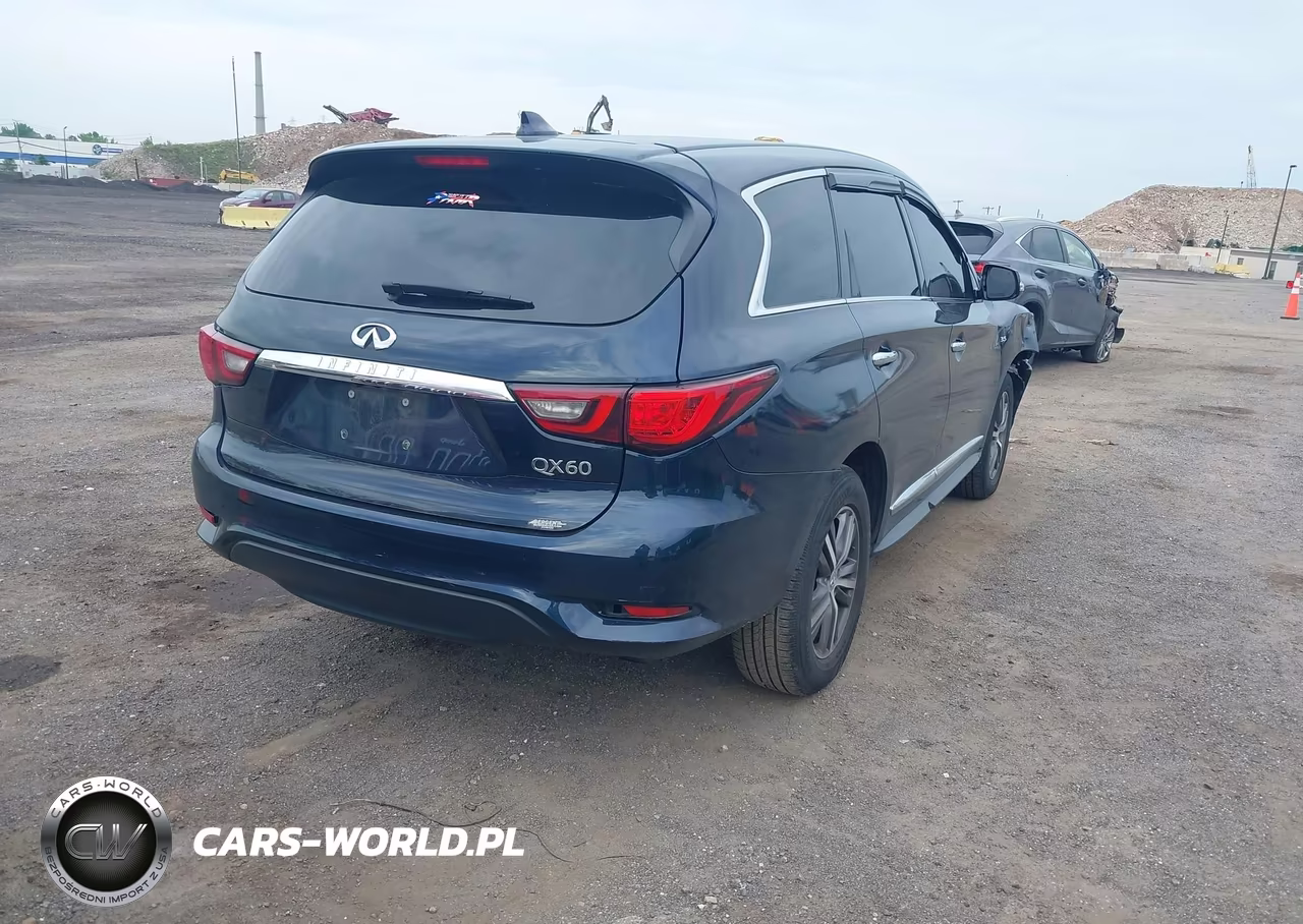 2020 Infiniti Qx60 Pure VIN:5N1DL0MN6LC530292 - 4
