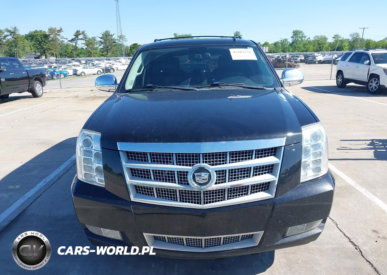 2012 Cadillac Escalade Platinum Edition VIN:1GYS4DEF8CR140521 - 12