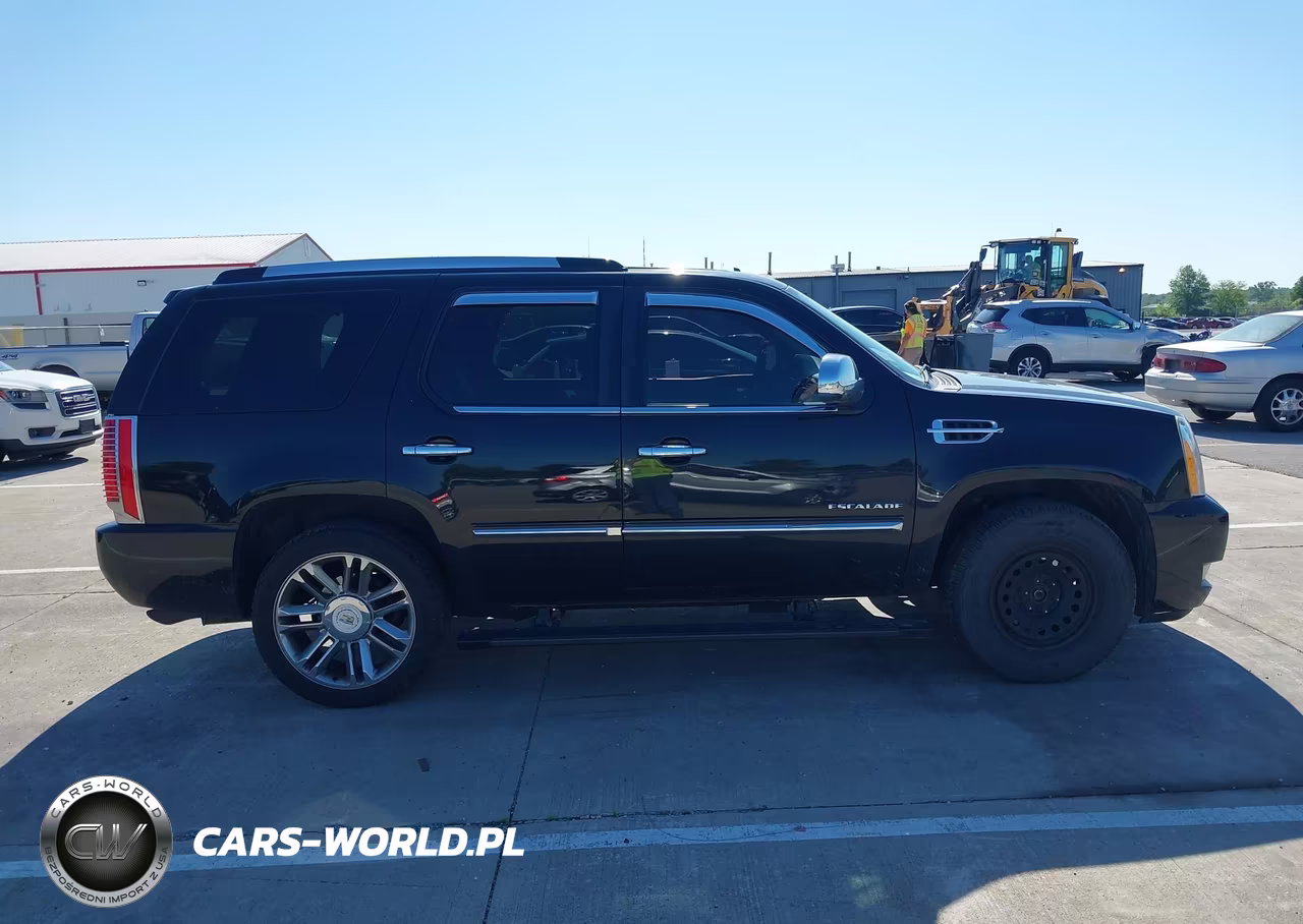 2012 Cadillac Escalade Platinum Edition VIN:1GYS4DEF8CR140521 - 13
