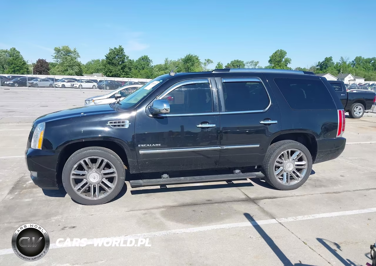 2012 Cadillac Escalade Platinum Edition VIN:1GYS4DEF8CR140521 - 14