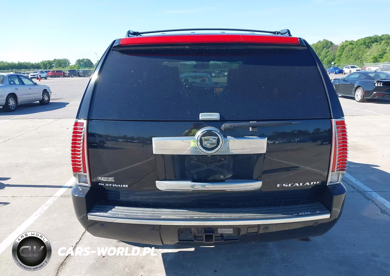 2012 Cadillac Escalade Platinum Edition VIN:1GYS4DEF8CR140521 - 16