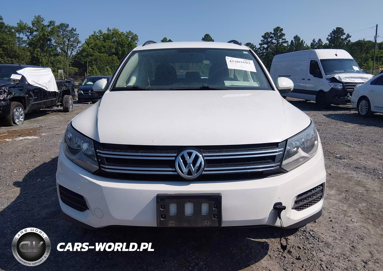 2015 Volkswagen Tiguan S VIN:WVGAV7AX6FW615101 - 12
