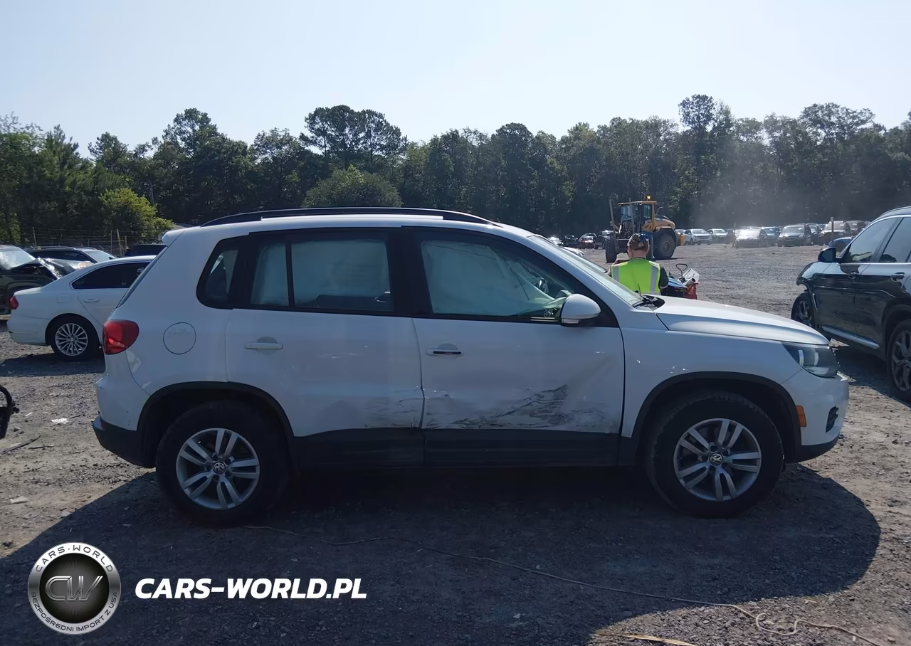 2015 Volkswagen Tiguan S VIN:WVGAV7AX6FW615101 - 13