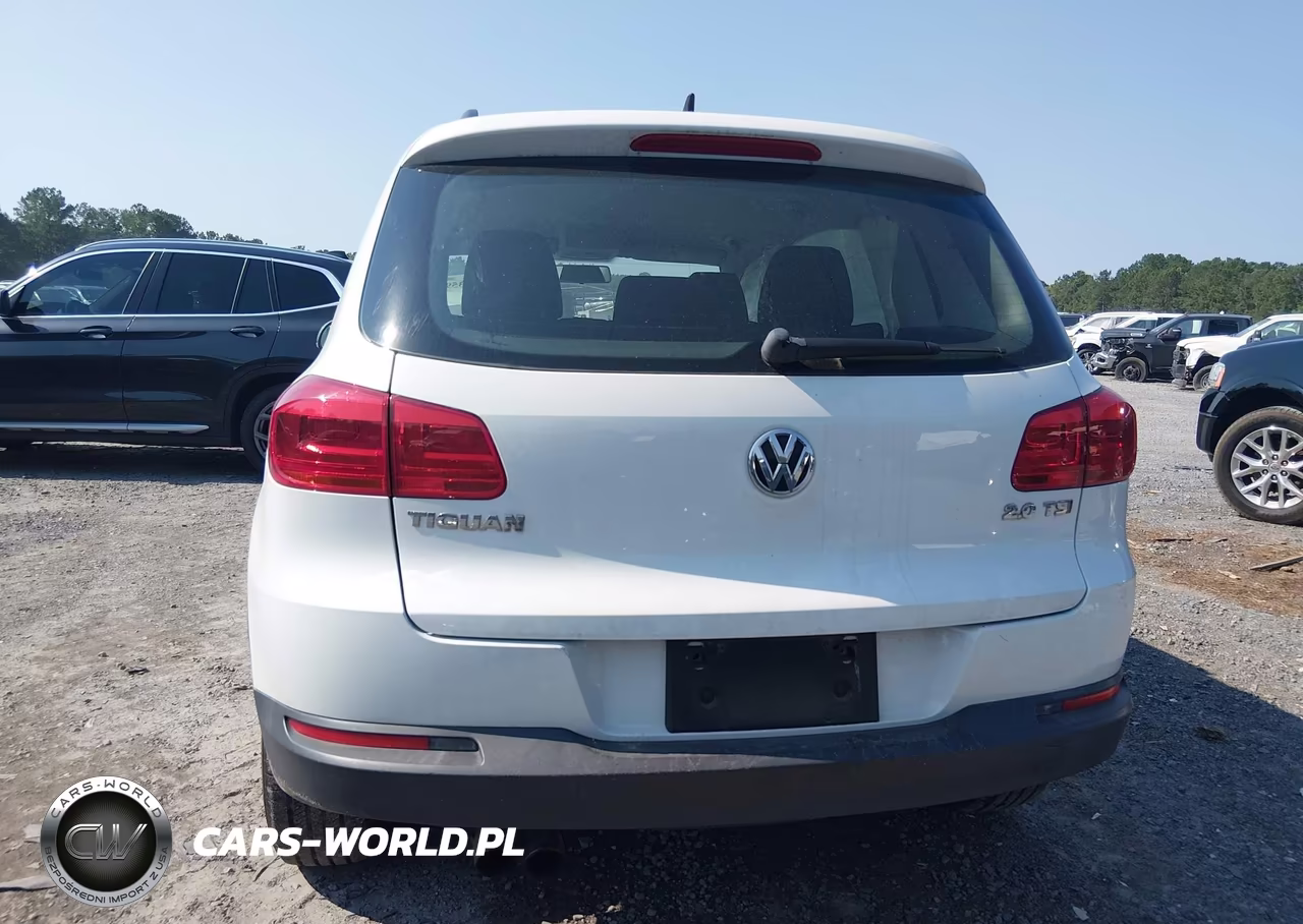 2015 Volkswagen Tiguan S VIN:WVGAV7AX6FW615101 - 16