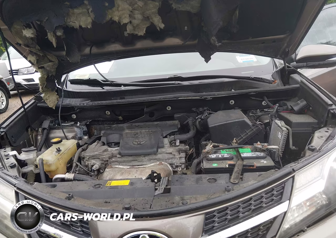 2015 Toyota Rav4 Xle VIN:2T3WFREV1FW190333 - 10