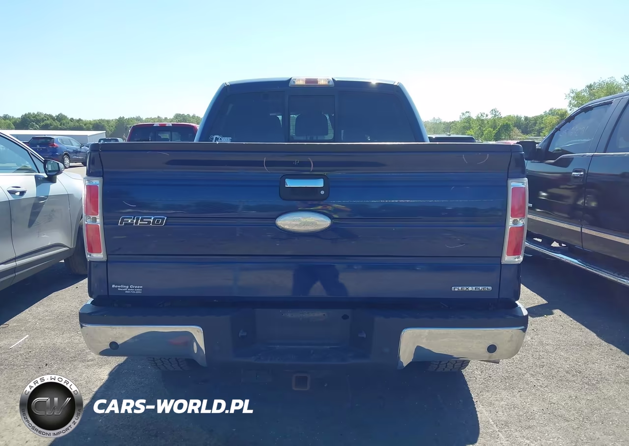 2011 Ford F-150 Xlt VIN:1FTFW1EF5BFC76217 - 17