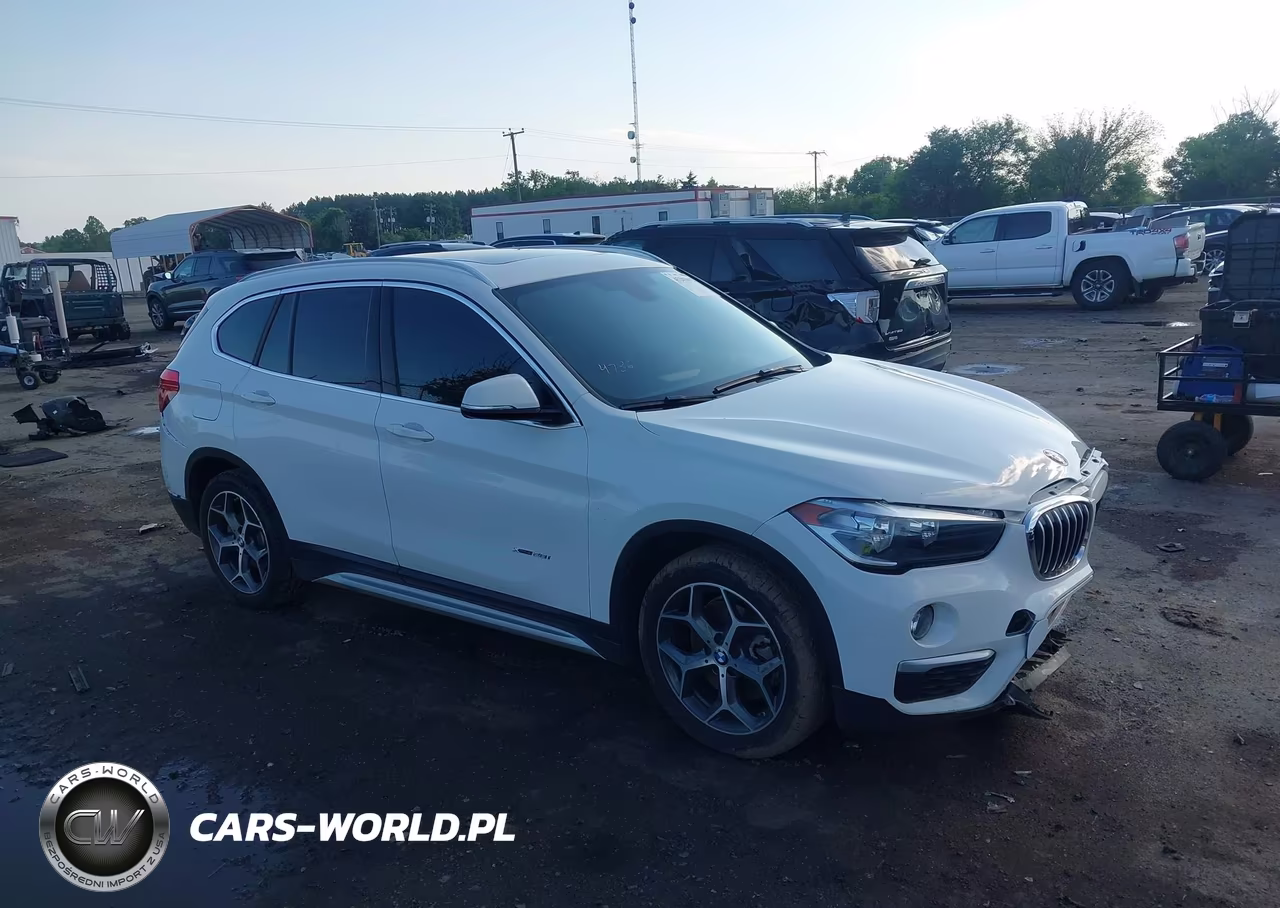 2018 BMW X1 xDrive28I – zdjęcie 1 z 17