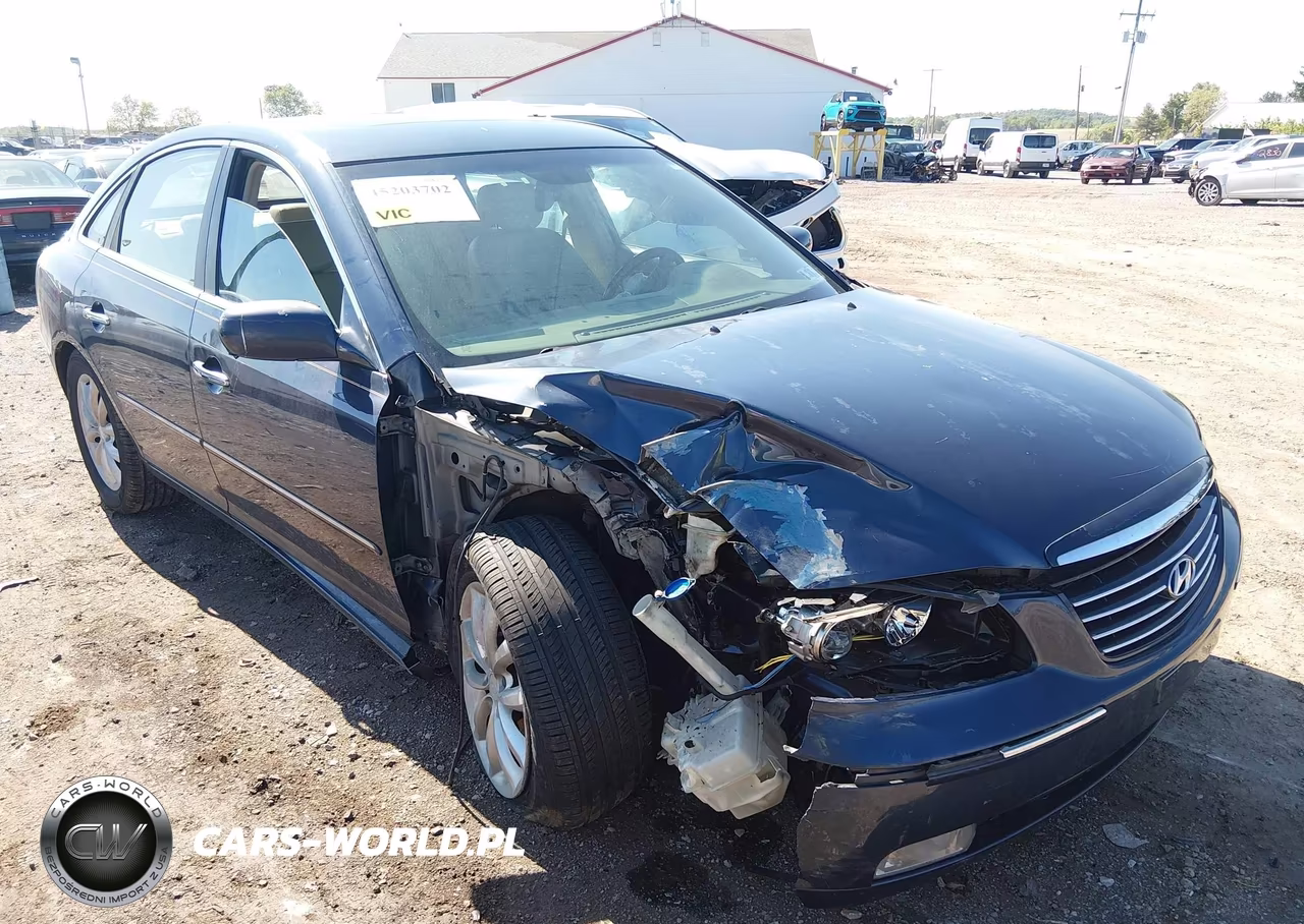 2006 Hyundai Azera Limited-Se VIN:KMHFC46FX6A107382 - 6