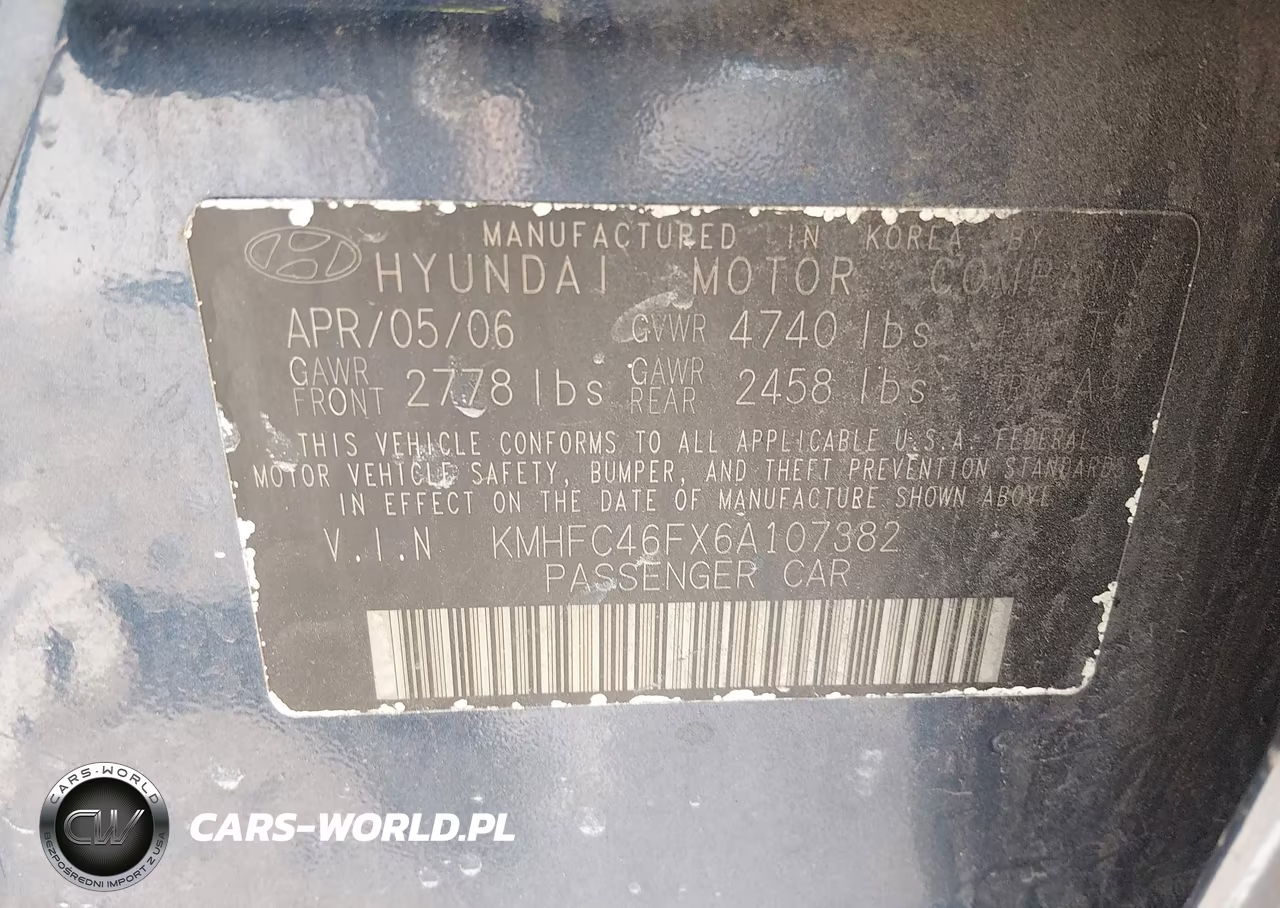 2006 Hyundai Azera Limited-Se VIN:KMHFC46FX6A107382 - 9