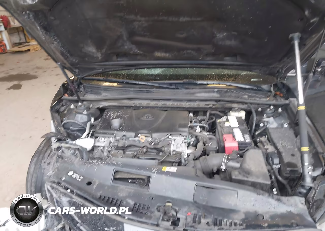 2018 Toyota Camry Se VIN:4T1B11HK9JU569226 - 10