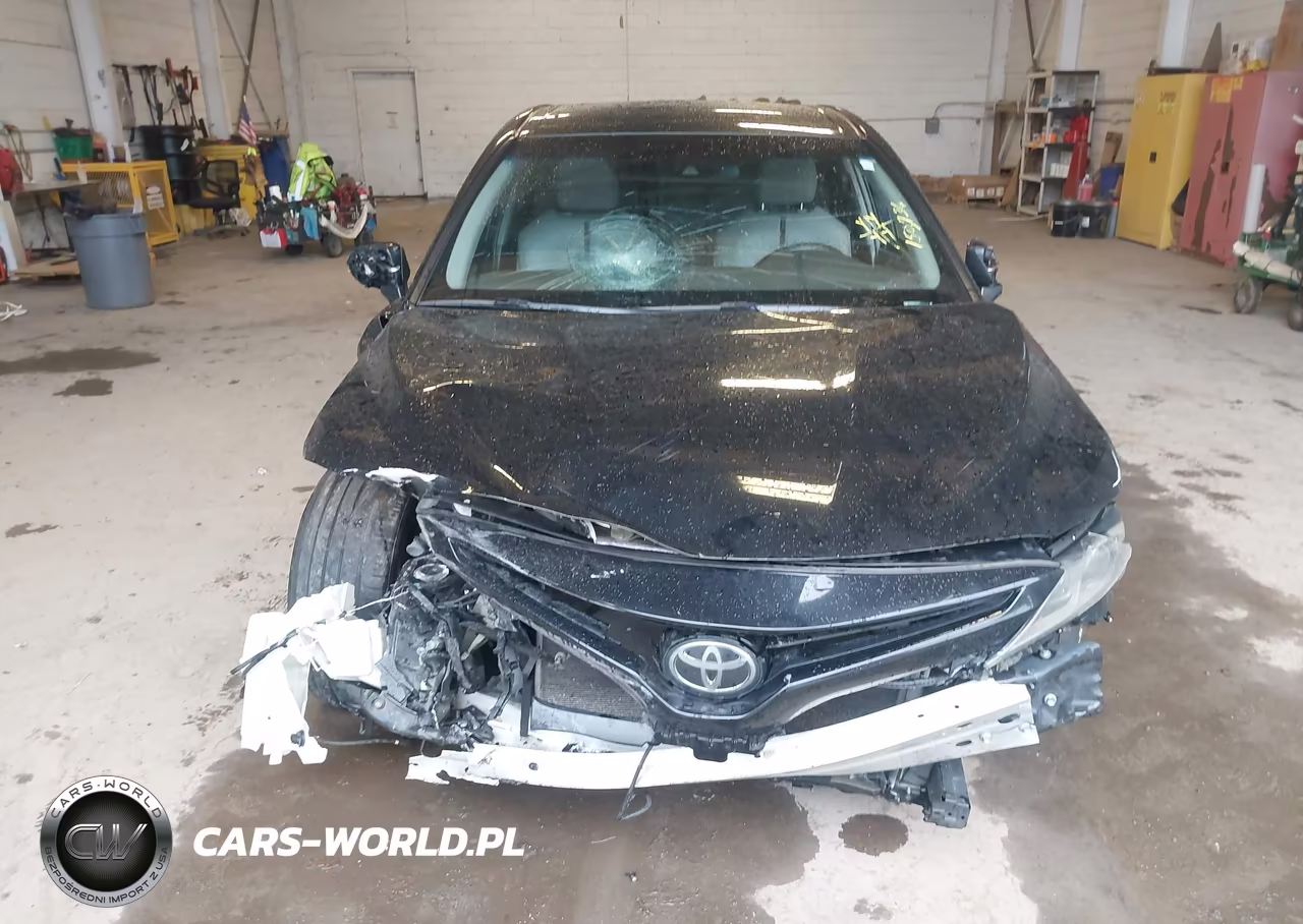 2018 Toyota Camry Se VIN:4T1B11HK9JU569226 - 12