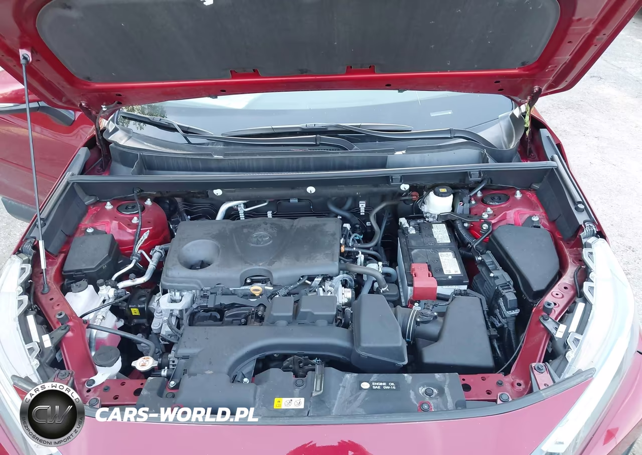 2024 Toyota Rav4 Xle VIN:2T3P1RFV8RW494362 - 10