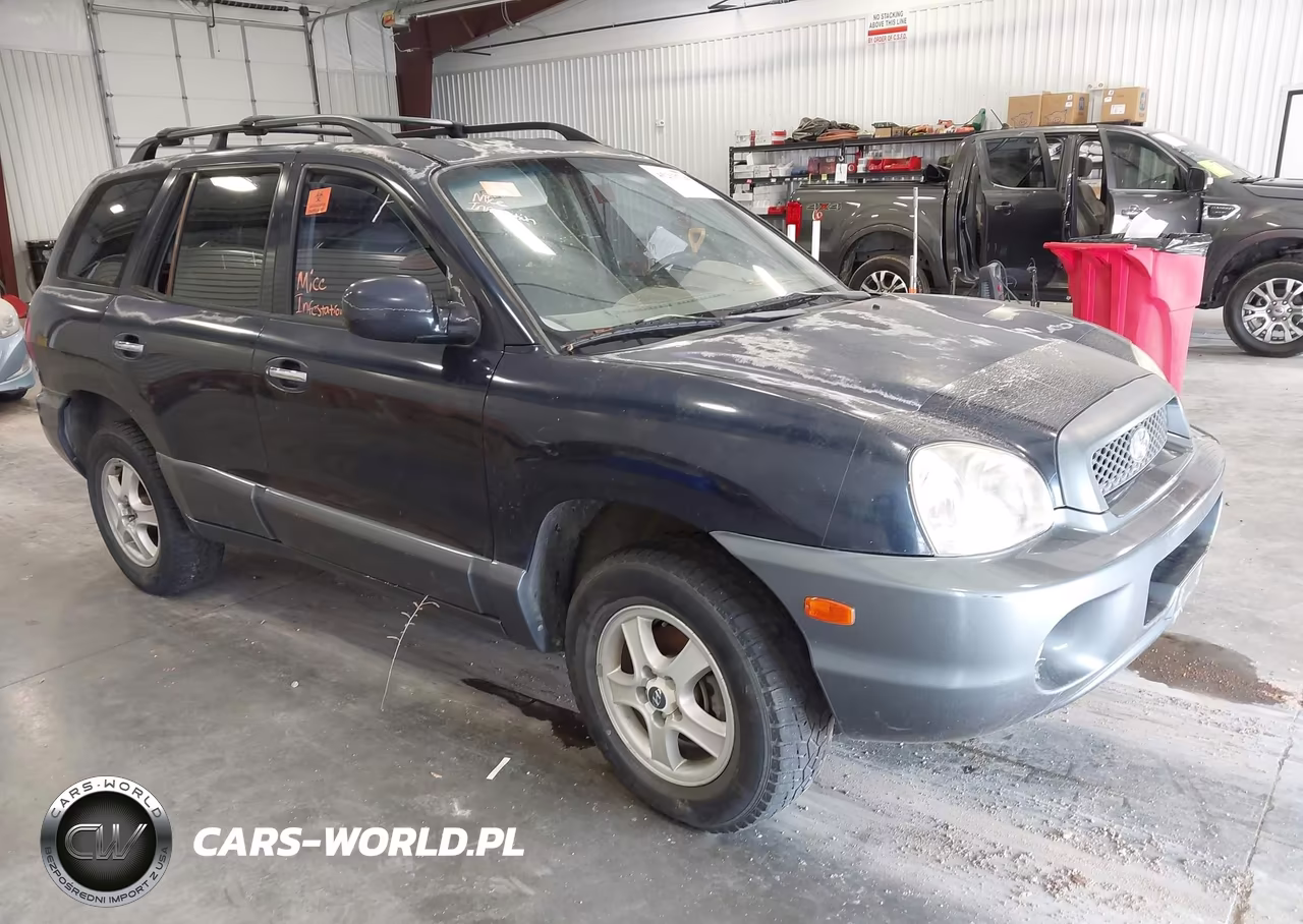 2004 Hyundai Santa Fe Gls-Lx