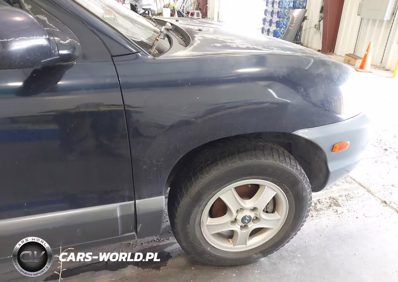 2004 Hyundai Santa Fe Gls-Lx VIN:KM8SC73E14U836619 - 11