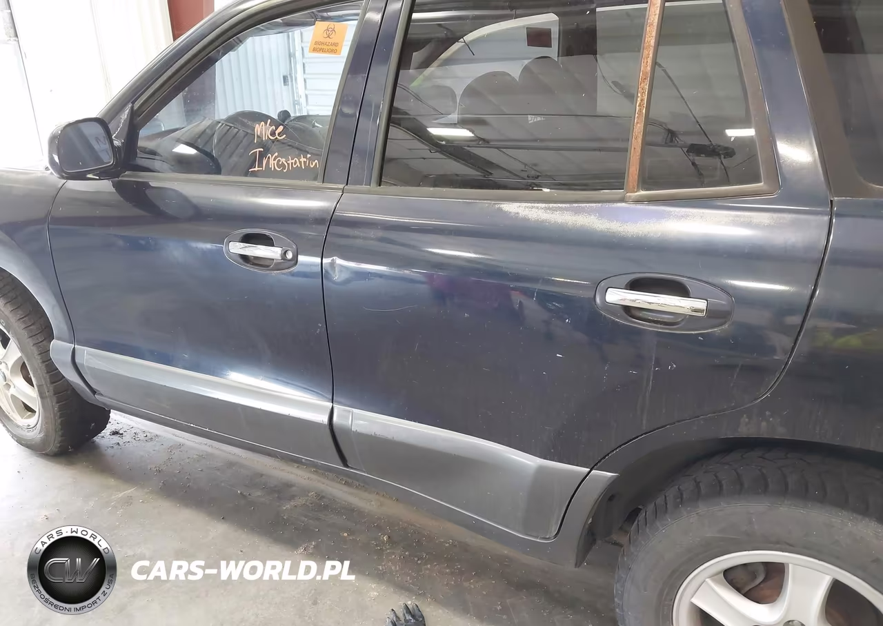 2004 Hyundai Santa Fe Gls-Lx VIN:KM8SC73E14U836619 - 12