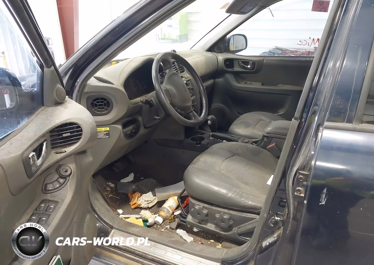 2004 Hyundai Santa Fe Gls-Lx VIN:KM8SC73E14U836619 - 13