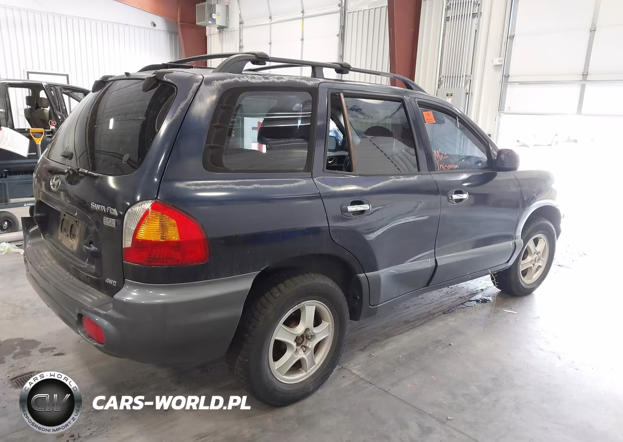 2004 Hyundai Santa Fe Gls-Lx VIN:KM8SC73E14U836619 - 4