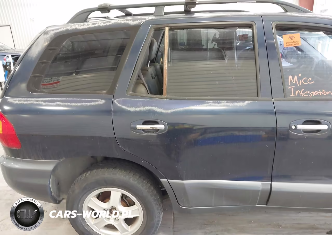 2004 Hyundai Santa Fe Gls-Lx VIN:KM8SC73E14U836619 - 6