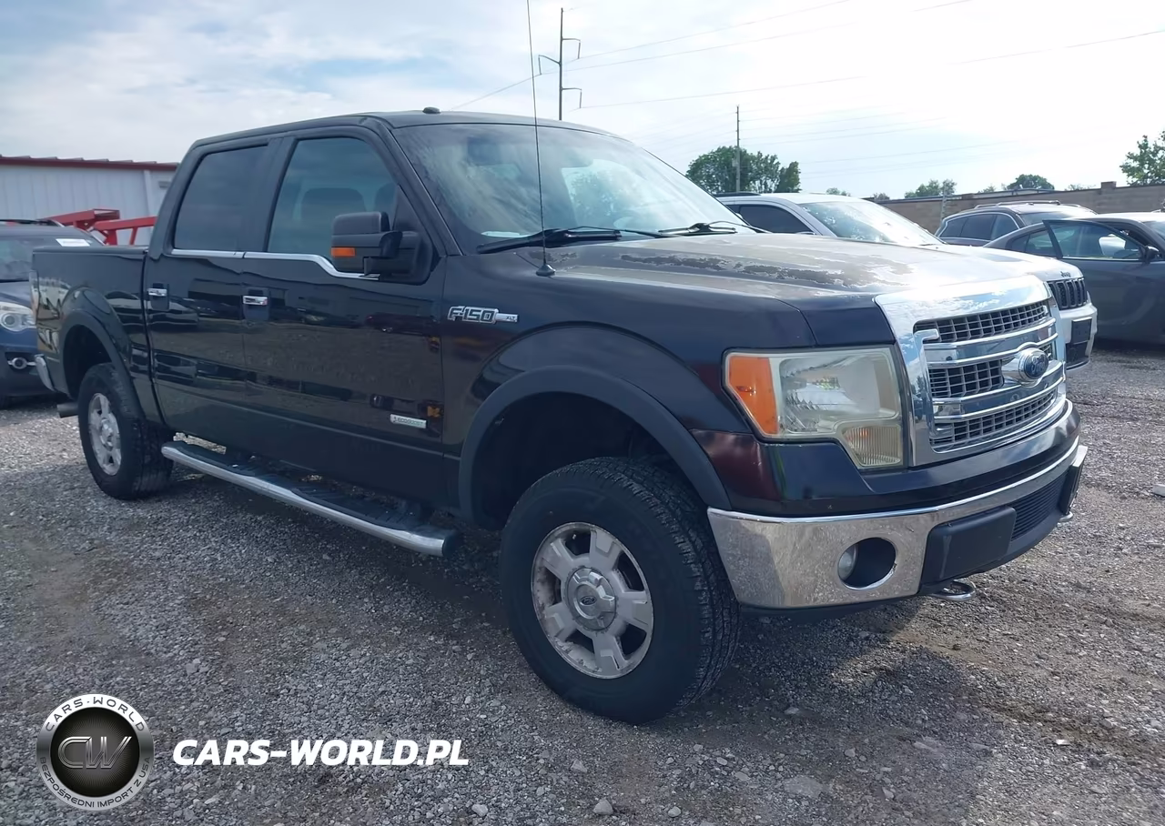2013 Ford F-150 Xlt – zdjęcie 1 z 16