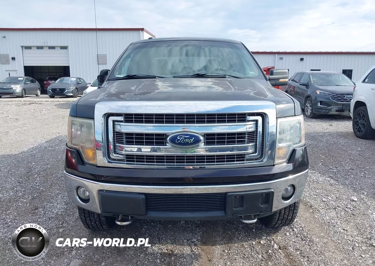 2013 Ford F-150 Xlt VIN:1FTFW1ETXDKD53048 - 12