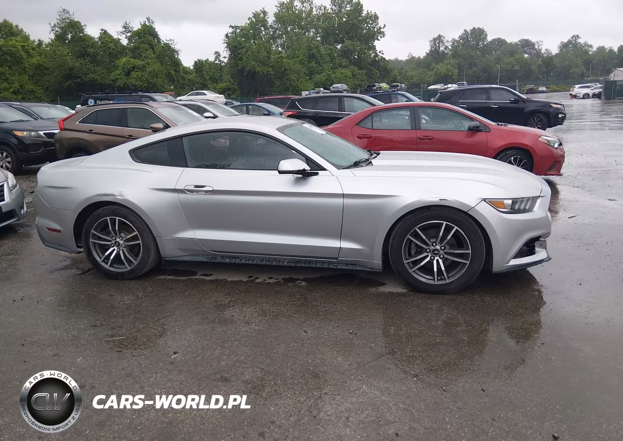 2016 Ford Mustang VIN:1FA6P8TH8G5264995 - 13