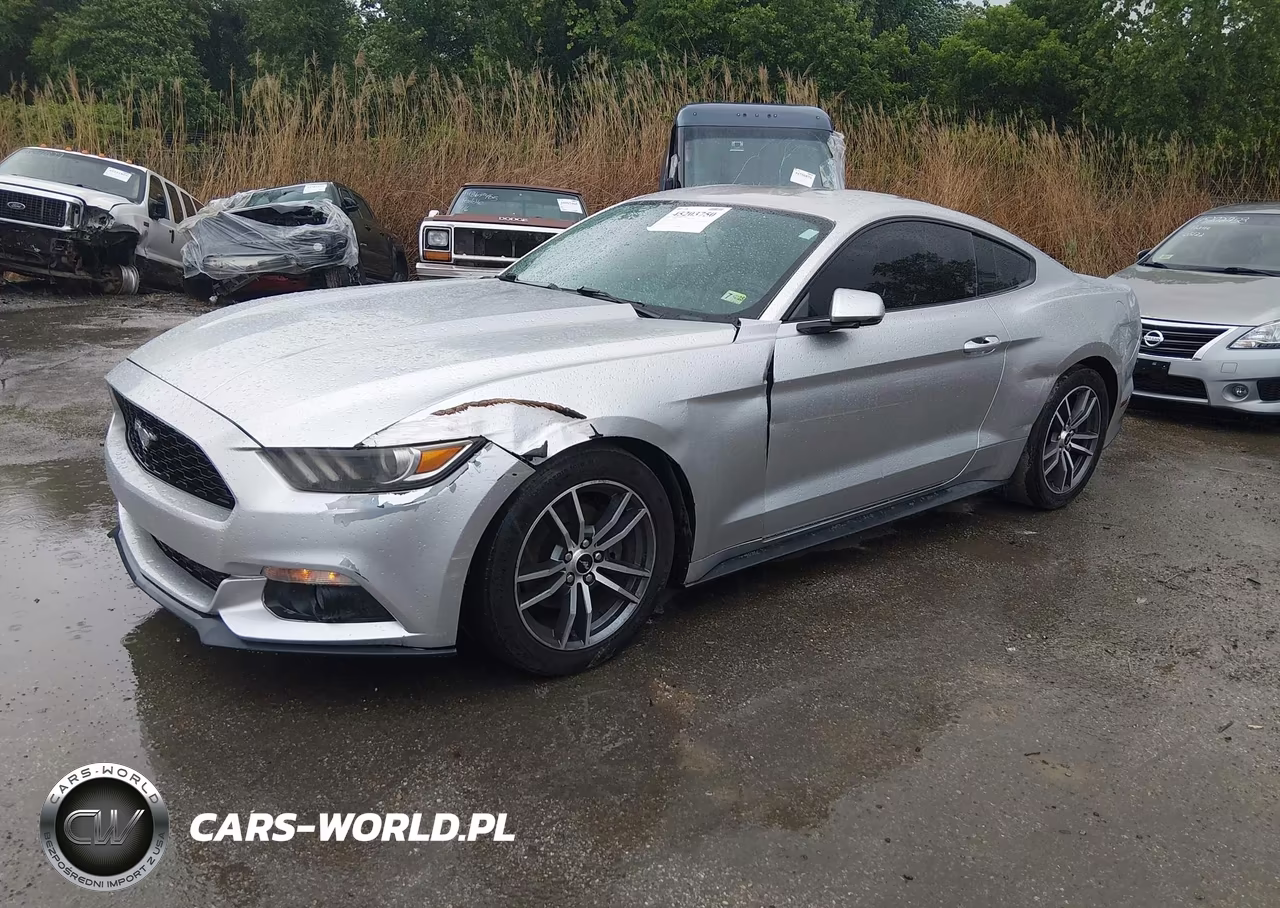 2016 Ford Mustang VIN:1FA6P8TH8G5264995 - 2
