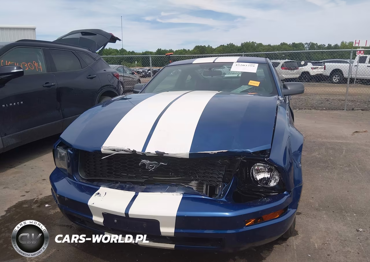 2006 Ford Mustang V6 VIN:1ZVFT80N865163421 - 12