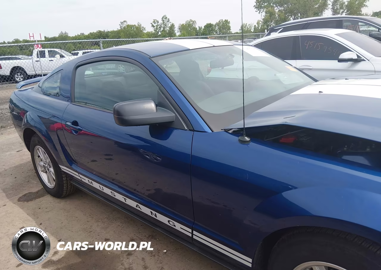 2006 Ford Mustang V6 VIN:1ZVFT80N865163421 - 13
