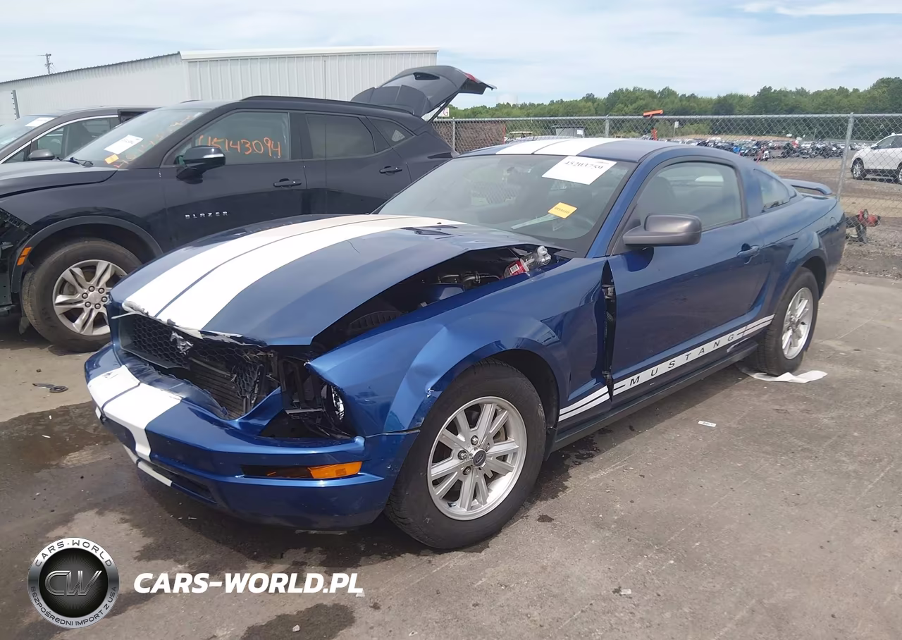 2006 Ford Mustang V6 VIN:1ZVFT80N865163421 - 2