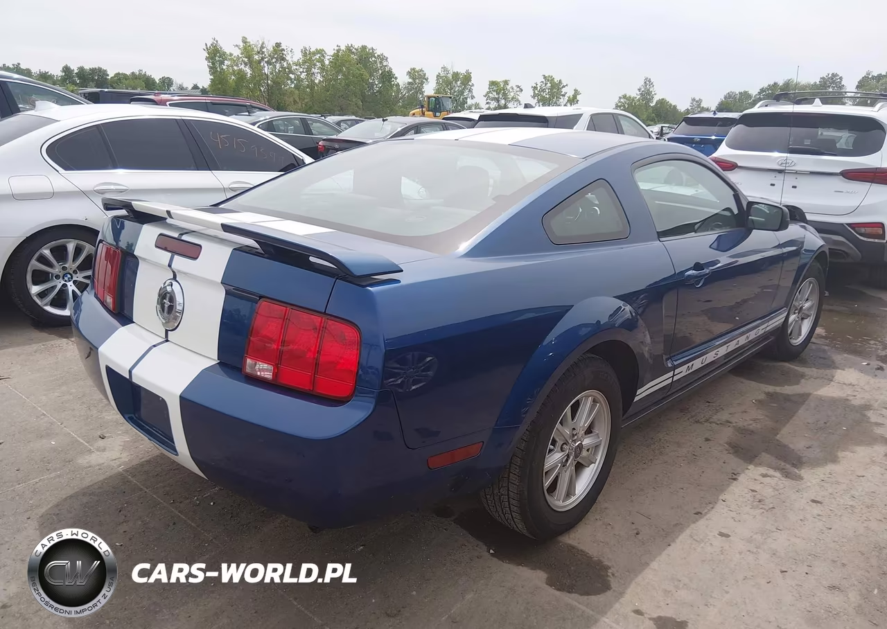 2006 Ford Mustang V6 VIN:1ZVFT80N865163421 - 4