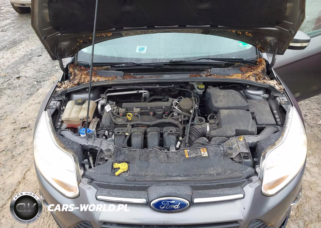 2014 Ford Focus Se VIN:1FADP3K26EL324921 - 10