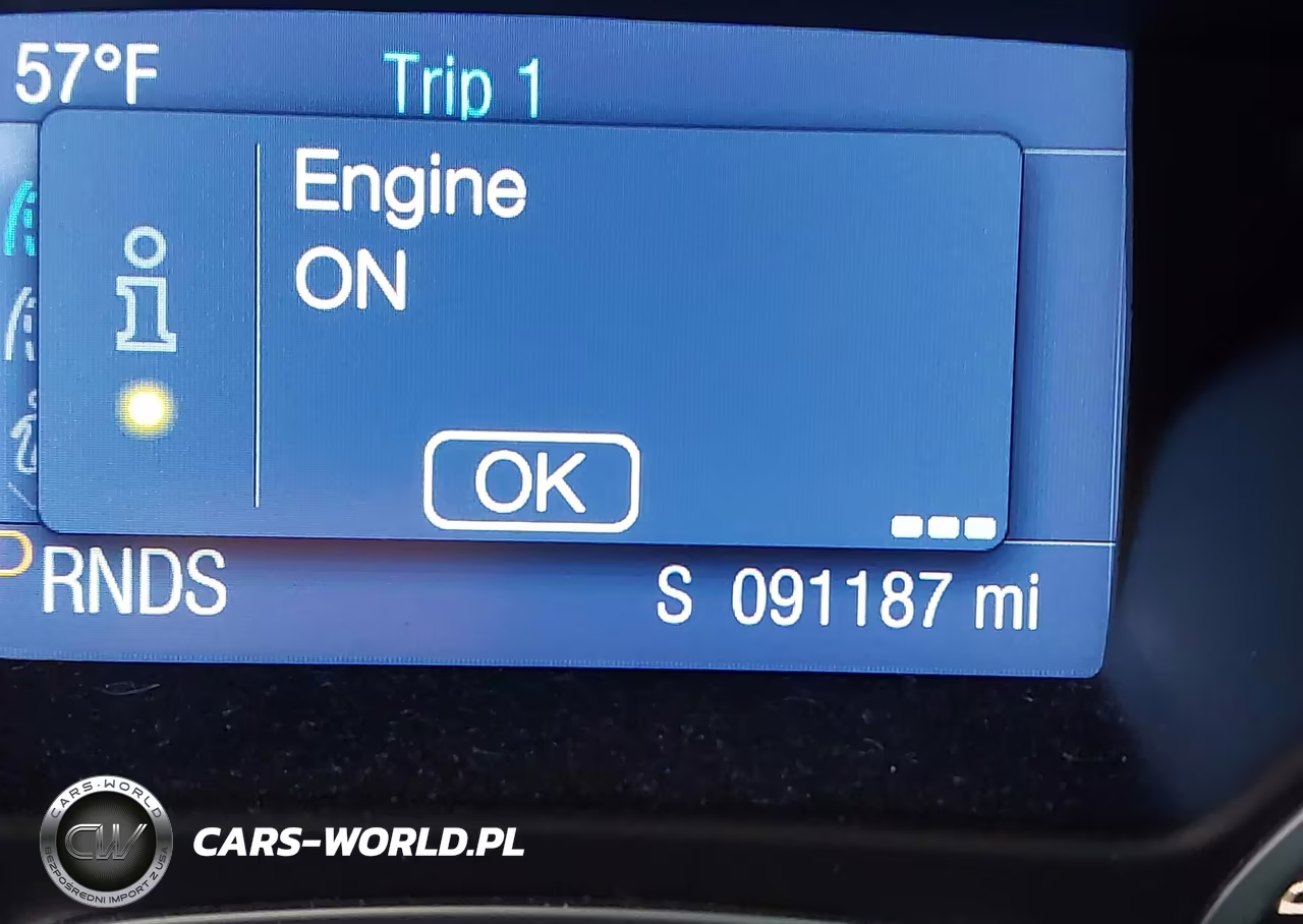 2014 Ford Focus Se VIN:1FADP3K26EL324921 - 12
